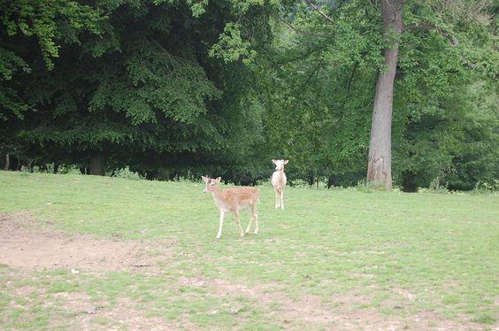 DSC_0098 [50%] [50%].JPG